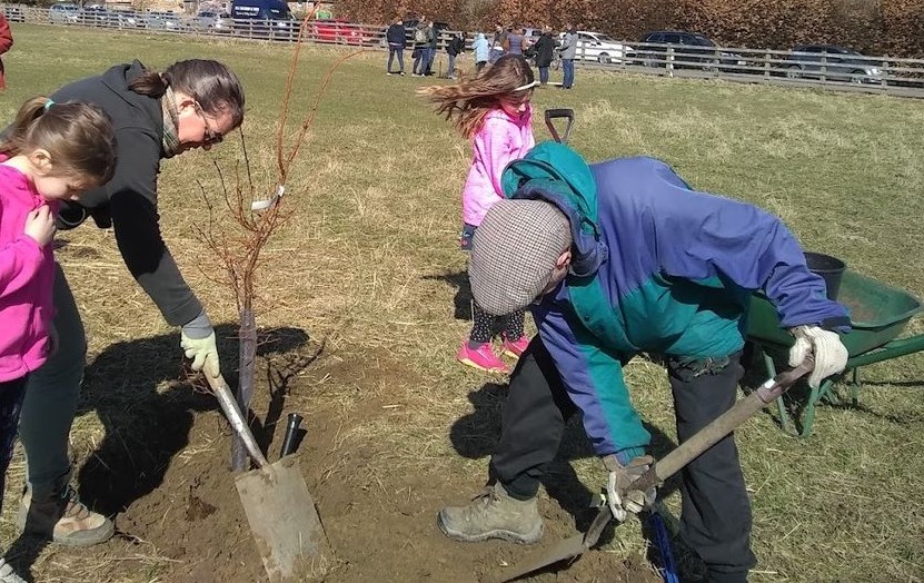 2022-03 Planting by HBC at Com